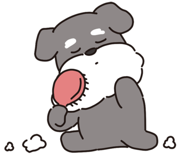블랑갸또 이미지
