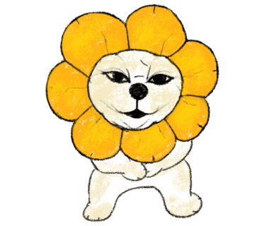 로이통신 이미지