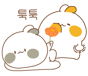 강원장 이미지