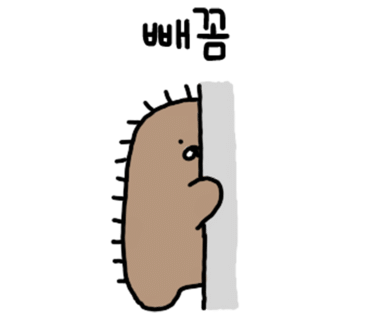 낙지보감 이미지