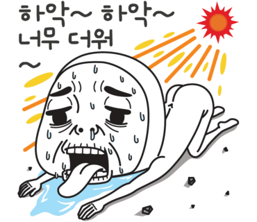 카페점보코코 이미지