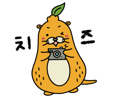 아트인제주 이미지