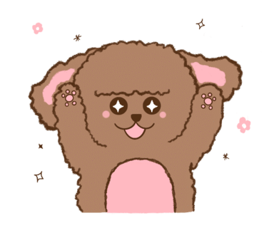 아네트플라워잠실 이미지