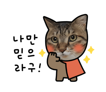 피지오핏 이미지
