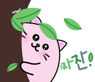 첼로사진예술원 이미지