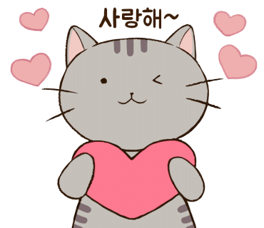 오묘 이미지