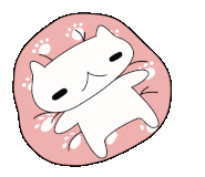 에스제이(SJ) 이미지