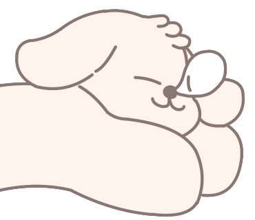 K-모터스 이미지