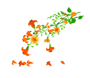 달;보라 이미지