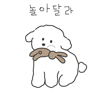 살롱아리 이미지