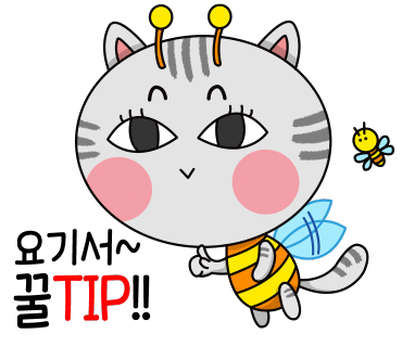 설렘영어 이미지