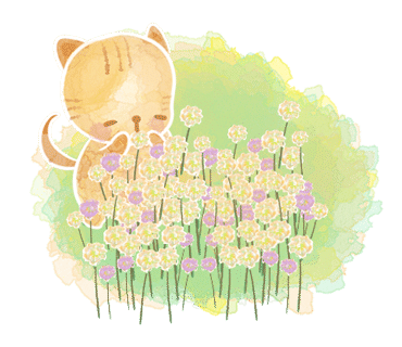 카페트윈즈 이미지