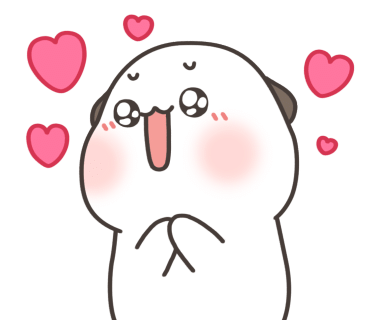 하이덴트칼라 이미지