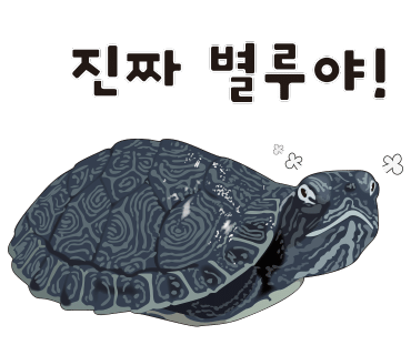 스타와 곰돌이 이미지