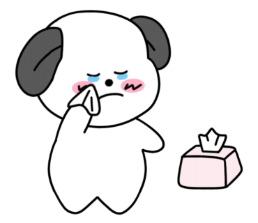 에코자인 이미지