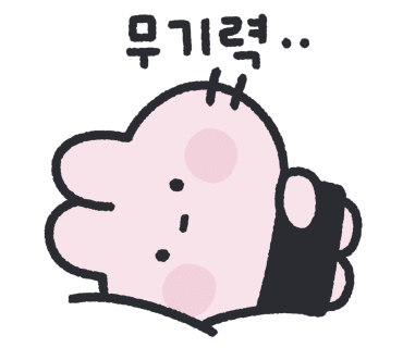 라로슈 이미지