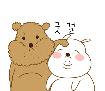 오늘쉐프일산 이미지