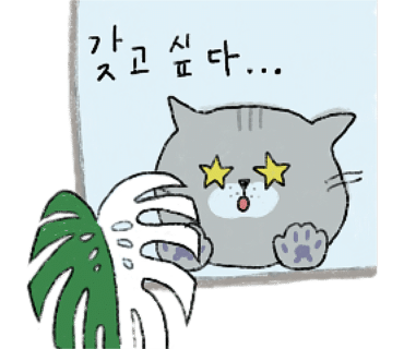 식물카페아단소니 이미지