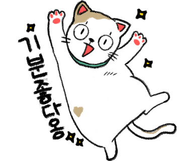 베이직바디 이미지