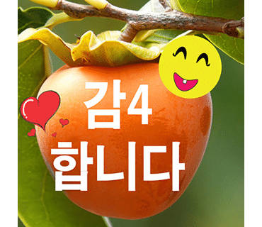 보루(BOROO) 창원의창점 이미지