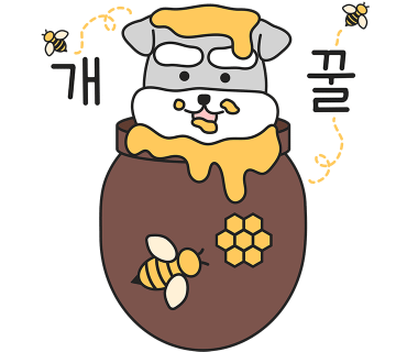 라인앤라운드 이미지
