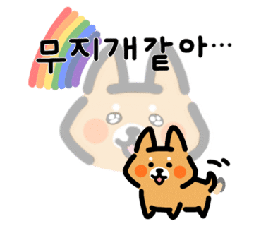 자일랜드 이미지