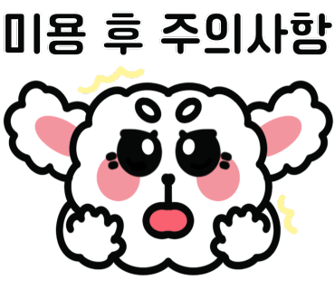 247헤어 이미지