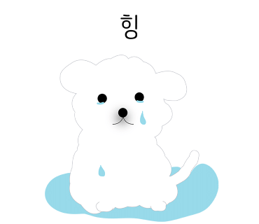 토리토리 이미지