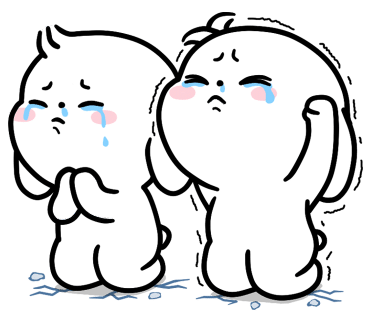 비비샐러드 이미지