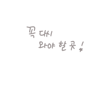 강릉정동진레일바이크 이미지