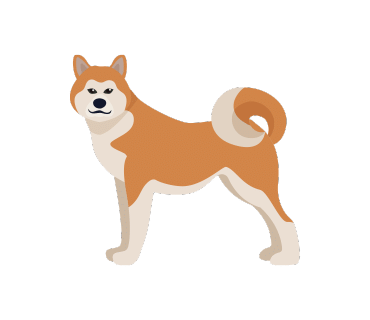 영번지몰 이미지