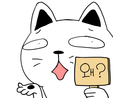 캔디캣 이미지