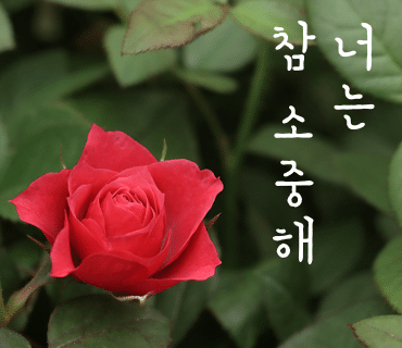 조이테라피 이미지