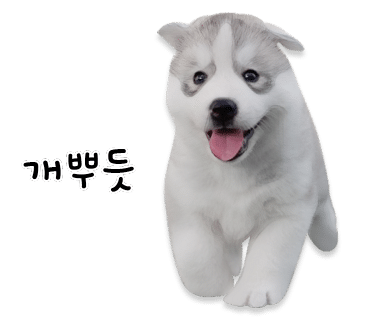 울산초장 이미지