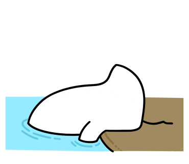 카페풀 이미지
