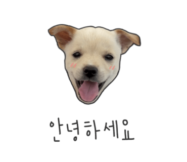 일광과자점 이미지