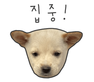 협성칼국수 이미지