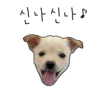 이오이오스튜디오 이미지