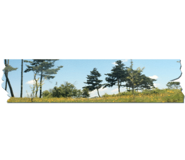 지리산면옥 이미지