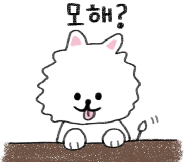 쭈마담 이미지