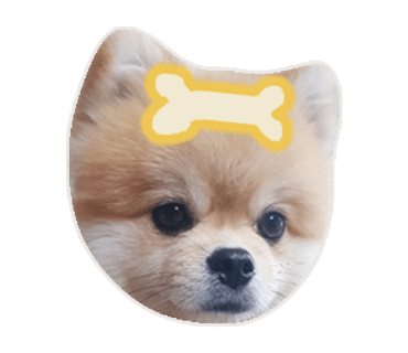 미라클샌드위치 이미지