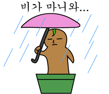 빅토리파크 이미지