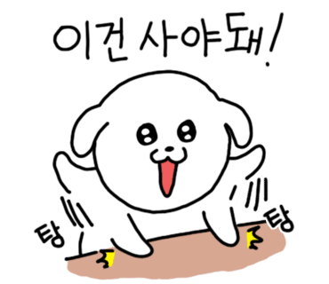 레인바우애견카페 이미지