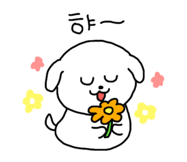 레인바우애견카페 이미지