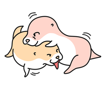 또친 이미지