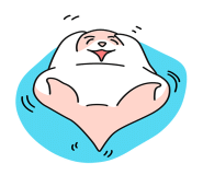 솝앤헤어 이미지