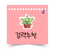 미호네 이미지