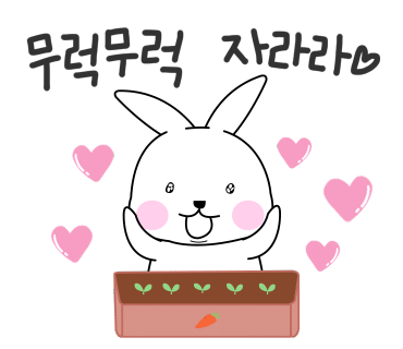 스타솔루션 이미지