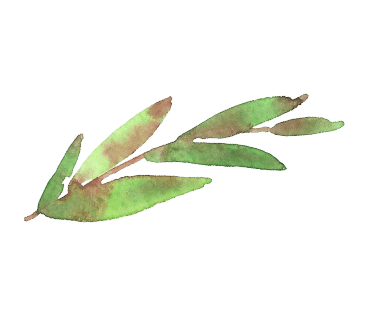 엘라윈 이미지