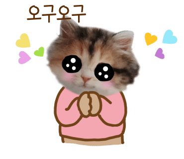 일산돈가스 이미지